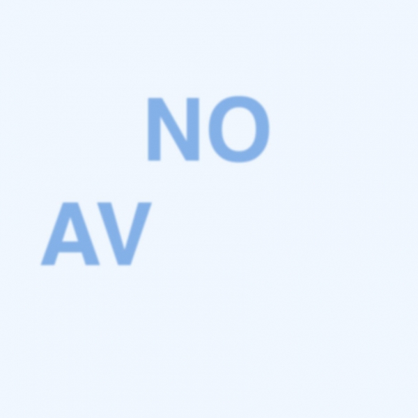 Creation of No avatar: Step 4